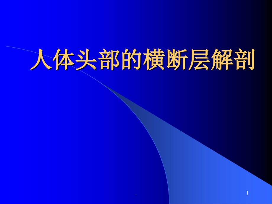 人体头部的横断层解剖.ppt_第1页
