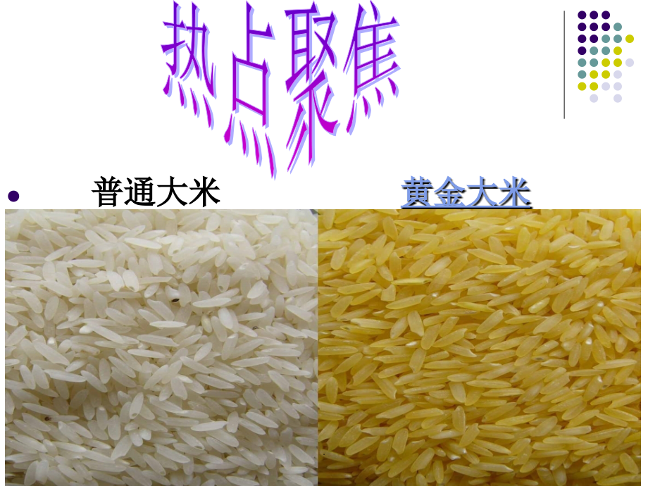 基因工程及其应用完整课件.ppt_第1页