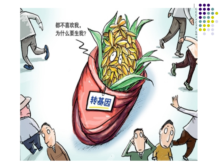 基因工程及其应用完整课件.ppt_第2页