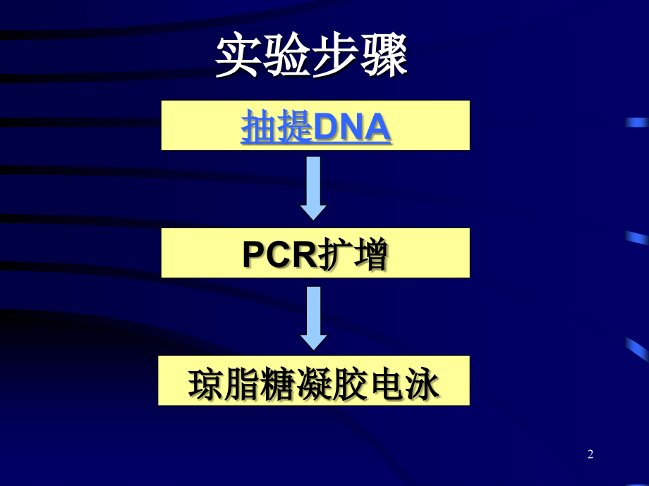 HLA-B27检测.ppt_第2页