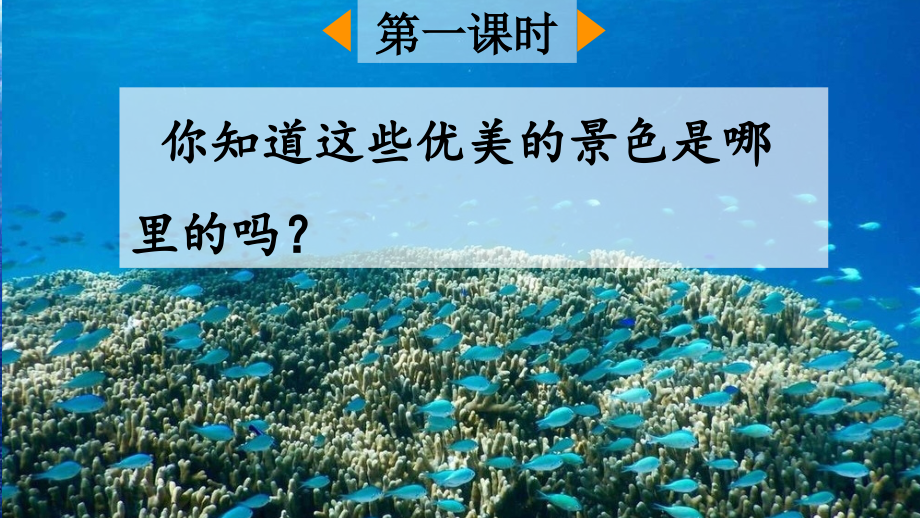 《富饶的西沙群岛》完整课件.ppt_第2页