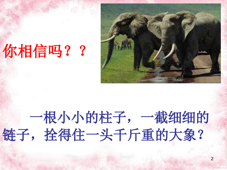 中学生习惯养成教育主题班会.ppt_第2页