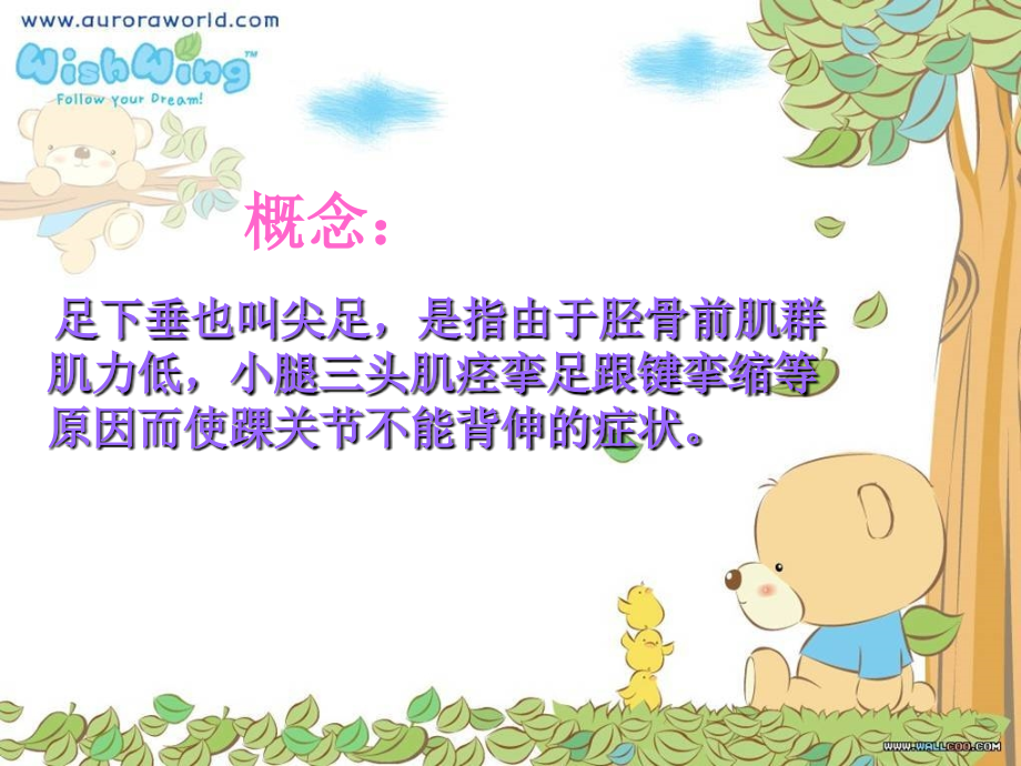 足下垂预防与护理.ppt_第2页