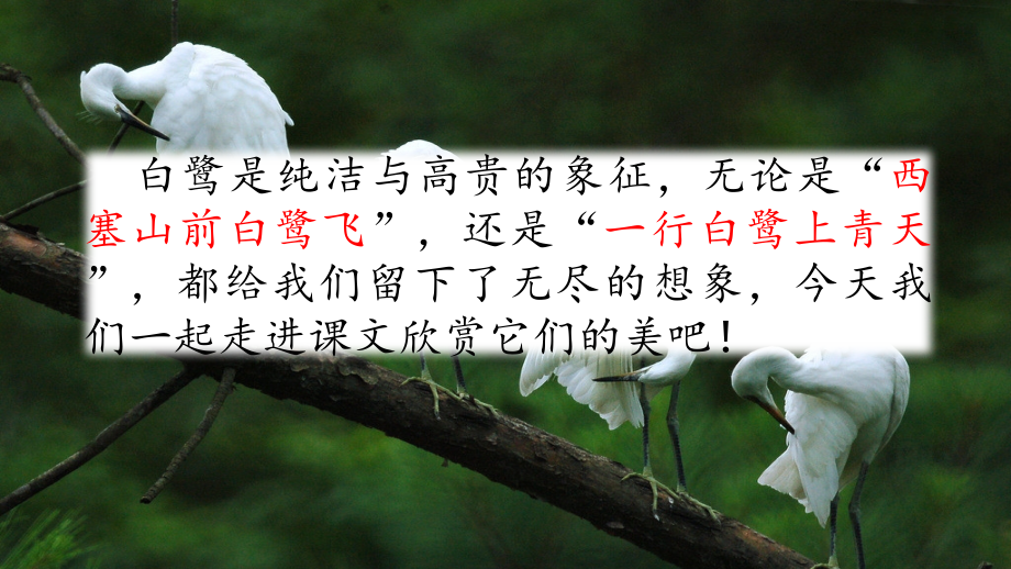 部编人教版语文五年级上册：第1单元全套课件.pptx_第1页