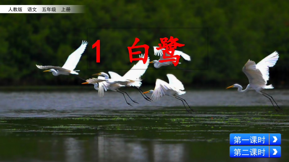 部编人教版语文五年级上册：第1单元全套课件.pptx_第2页