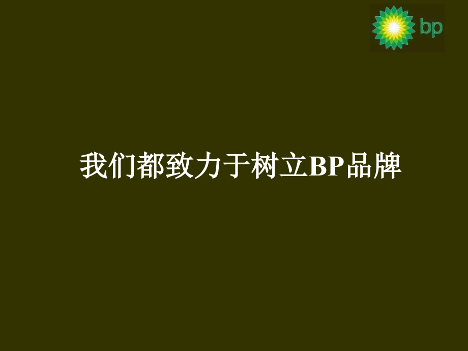 世界500强品牌宣传手册.ppt_第2页