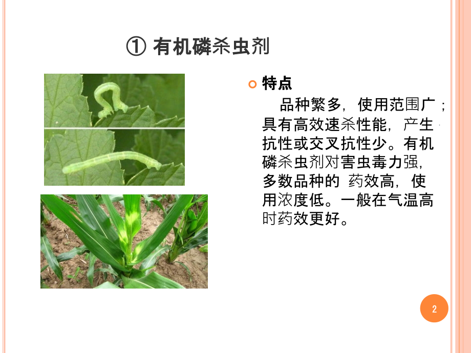 常见杀虫剂课件.ppt_第1页