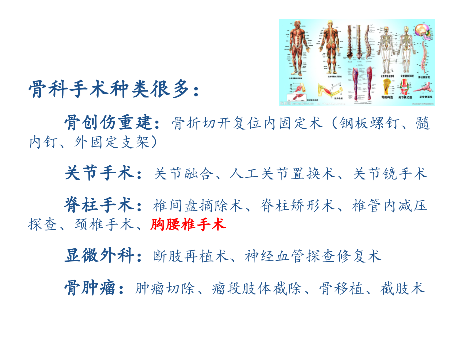 骨科术后护理创新课件.ppt_第2页