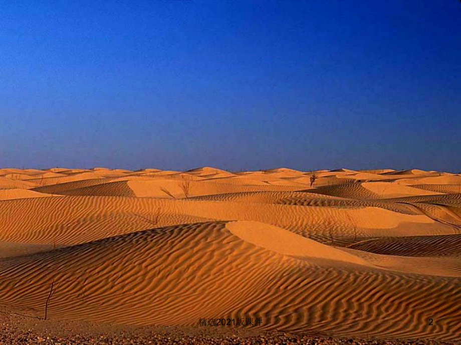 《在沙漠中心》(34页).ppt_第2页