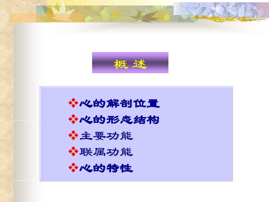 33五脏心.pptx_第2页