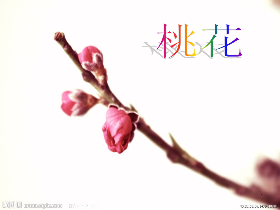 写花的作文桃花.ppt_第1页