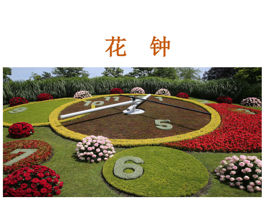 【语文】13花钟部编小学语文三年级下册优质课件.ppt_第2页