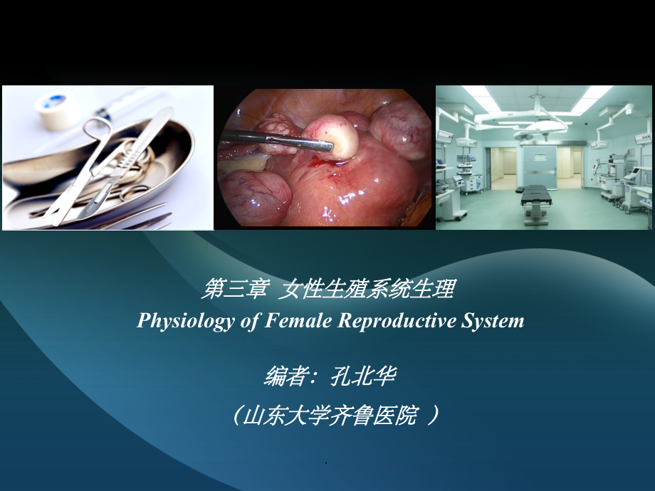 女性生殖系统生理50834课件.ppt_第2页