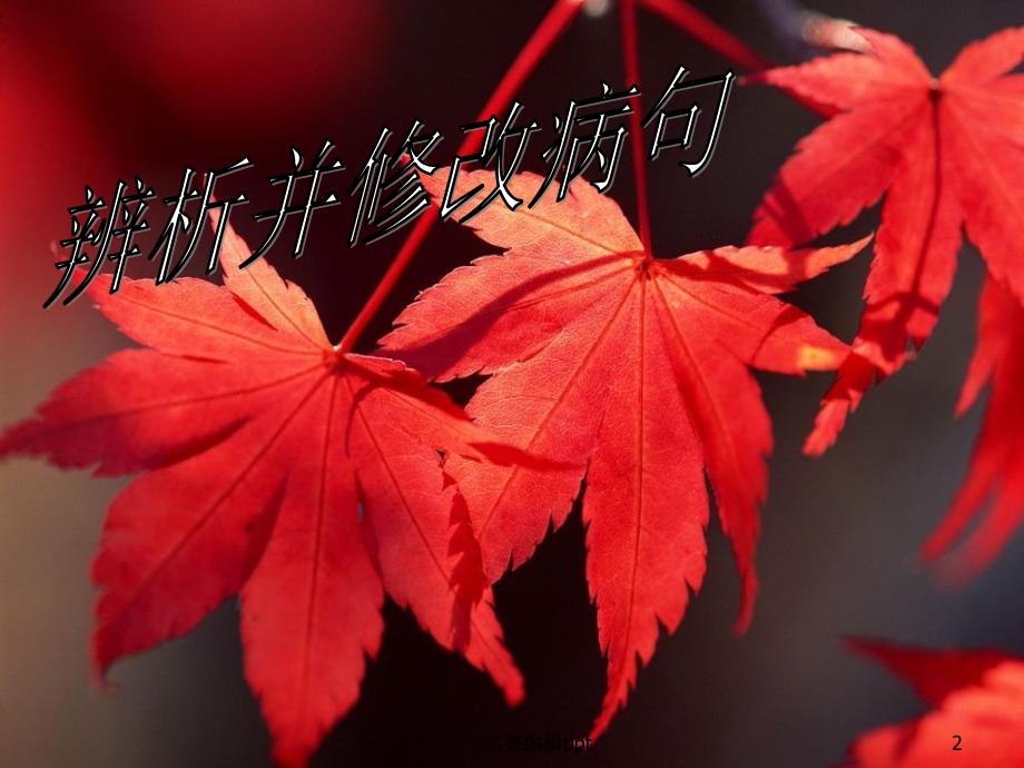 高考病句专题课件.ppt_第2页