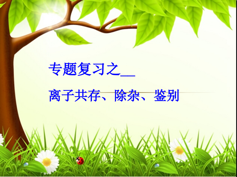 中考专题离子共存-除杂-鉴别(讲课).ppt_第1页