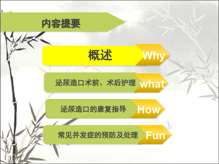 泌尿造口的护理.ppt_第2页