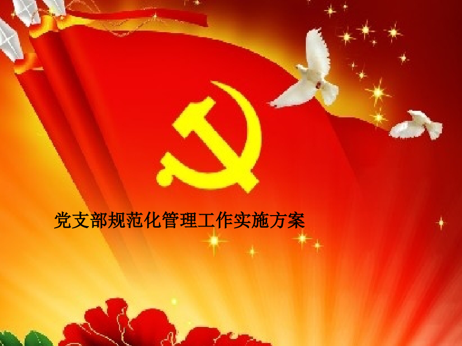 党支部规范化管理方案.ppt_第1页