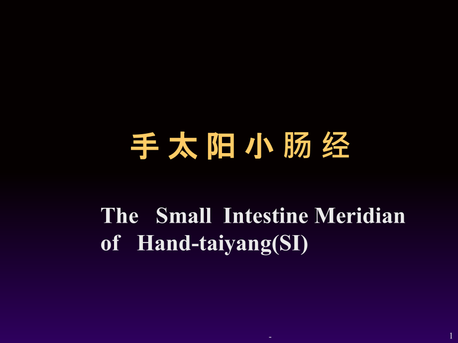 -手太阳小肠经课件.ppt_第1页