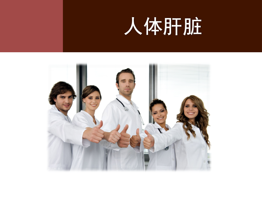 人体脂肪肝.ppt_第1页