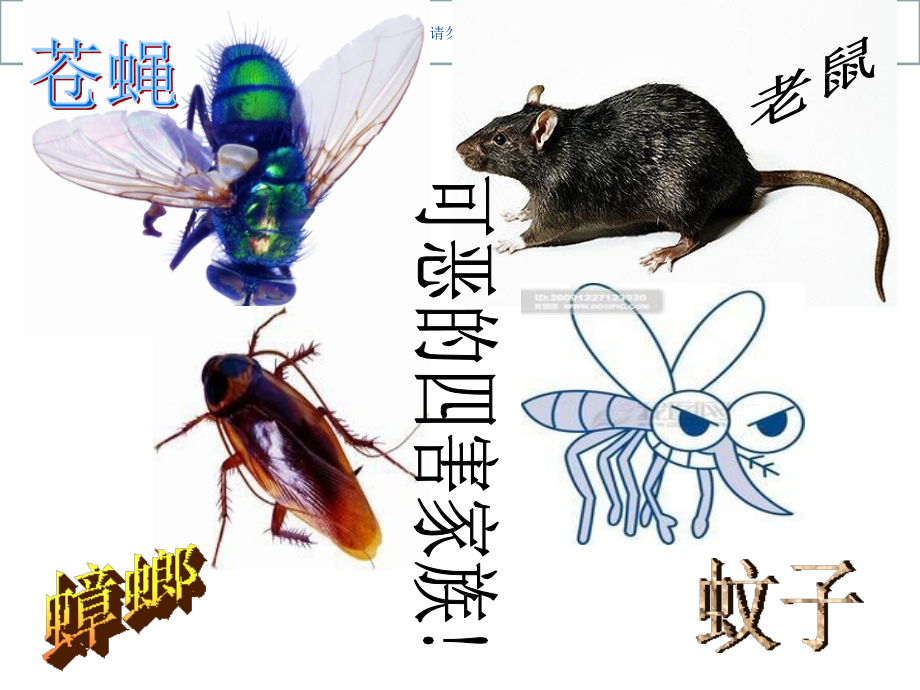 除四害讲卫生主题班会课件.ppt_第1页