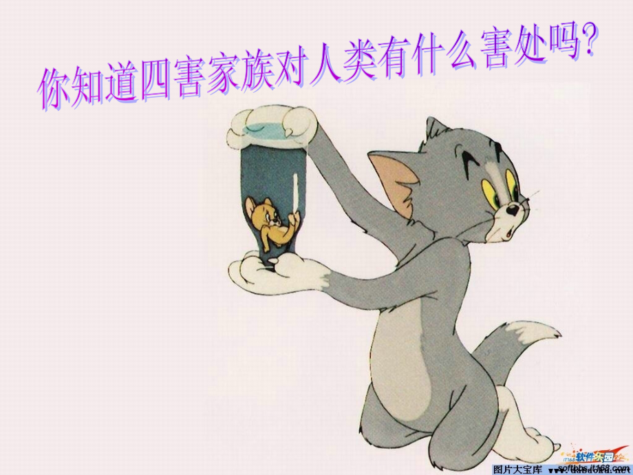 除四害讲卫生主题班会课件.ppt_第2页