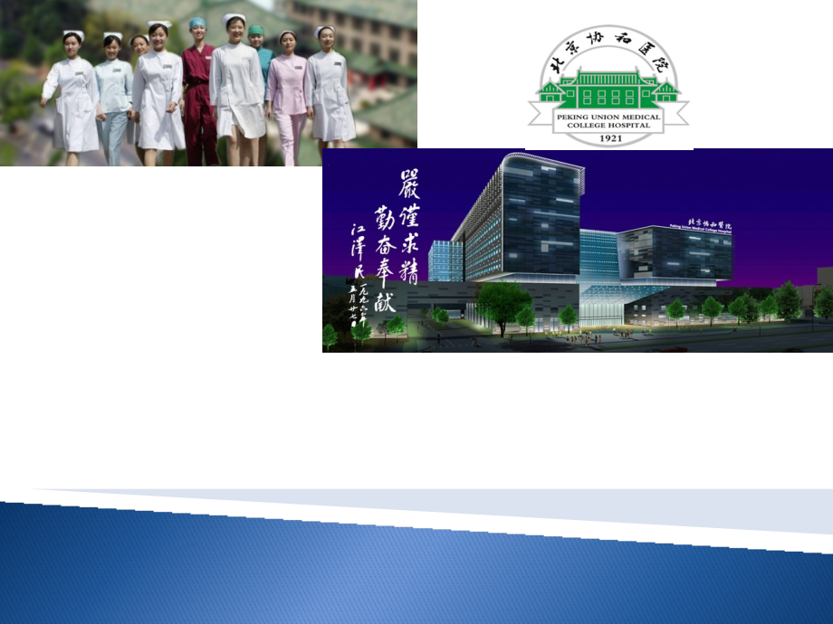协和icu进修.pptx_第1页