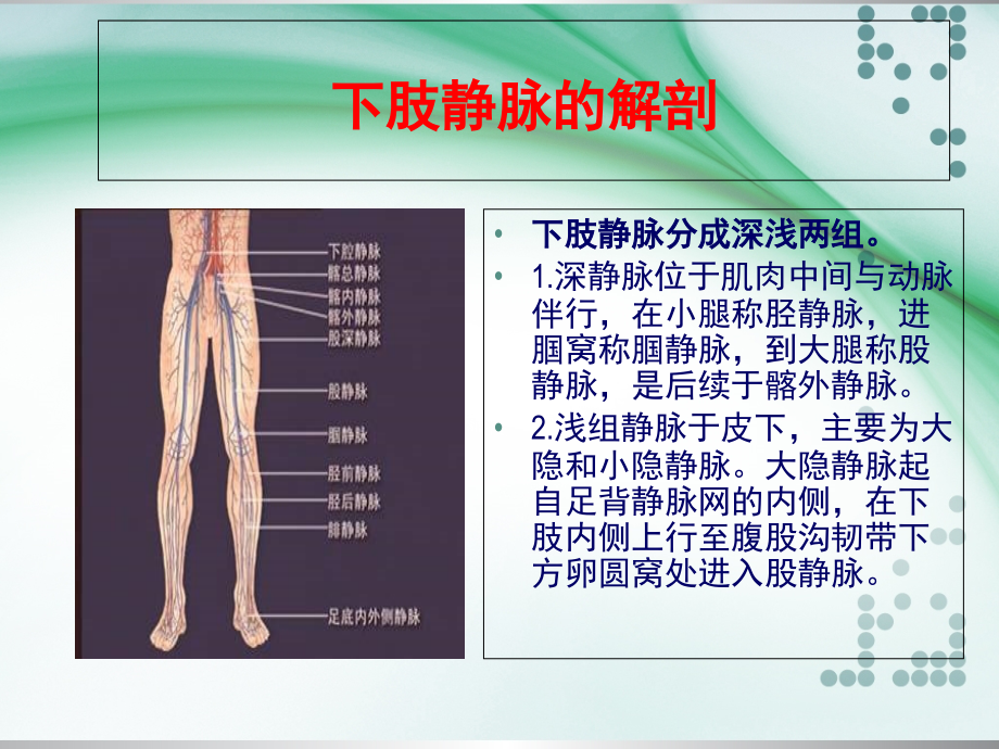 下肢深静脉血栓的护理2.ppt_第2页