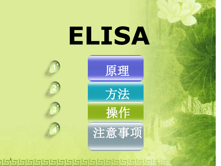 ELISA原理方法操作及注意事项.ppt_第1页