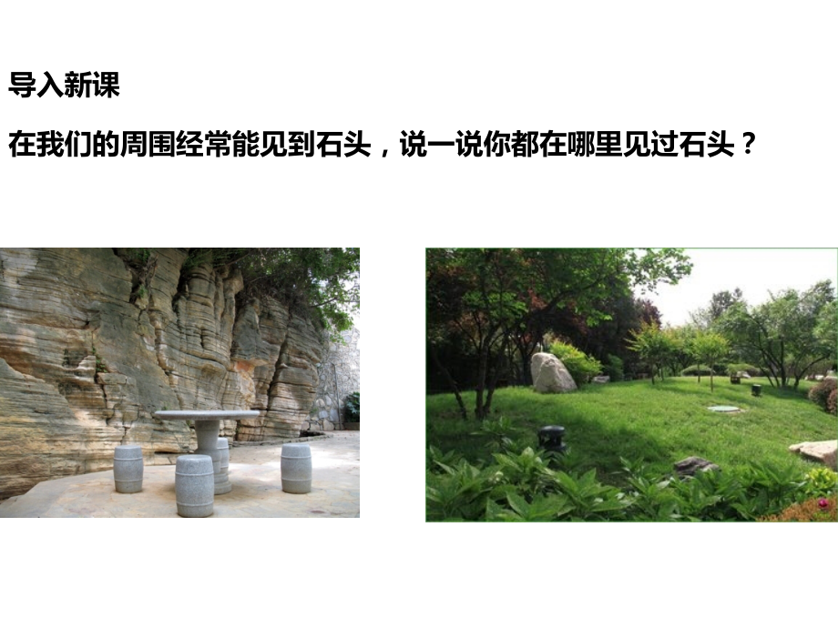 新编教材-苏教版小学科学一年级下册-全套课件.pptx_第2页