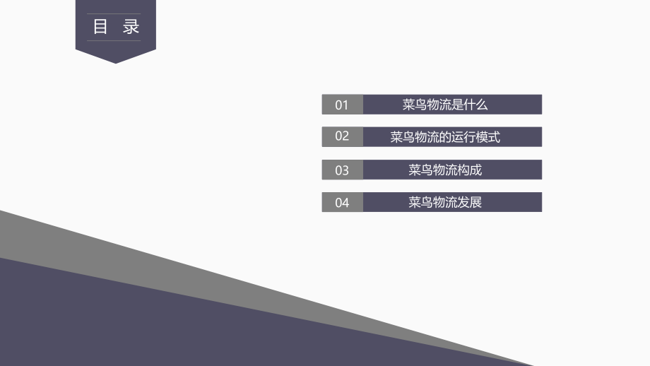 菜鸟物流.ppt_第2页