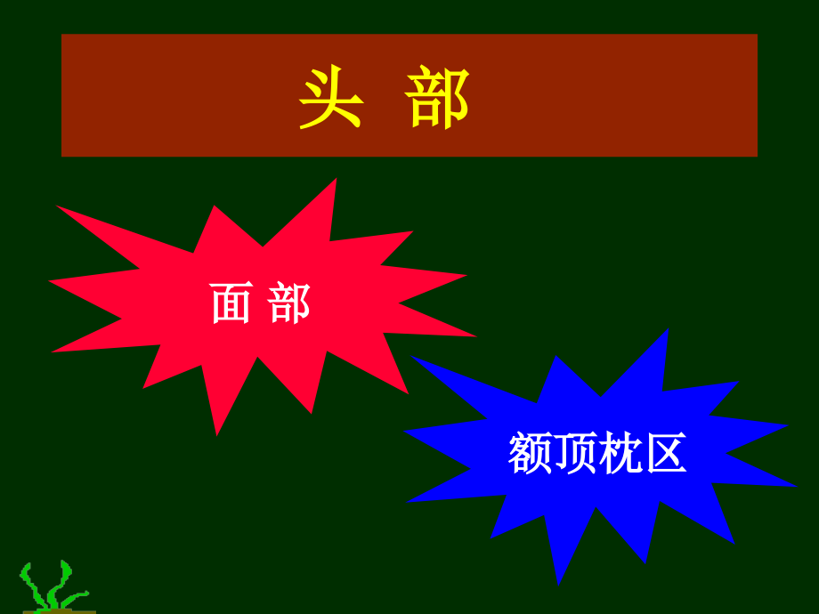 局部解剖学头颈部课件.ppt_第2页