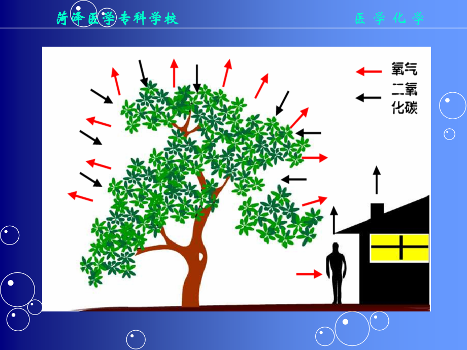 第十二章_糖类（一）（菏泽医学专科学校）.ppt_第2页