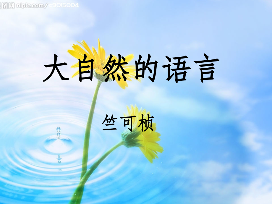 大自然的语言-比赛完整.ppt_第1页