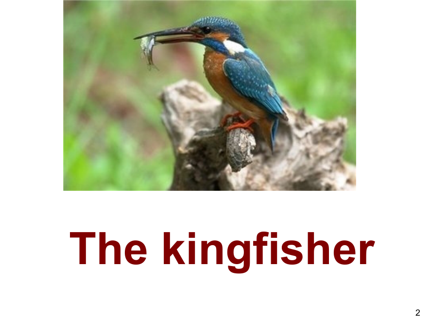 外研join-in起六年级上册unitpart3.ppt_第2页