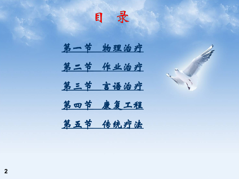 康复护理第四章常用康复治疗和护理技术第一节物理治疗.ppt_第2页