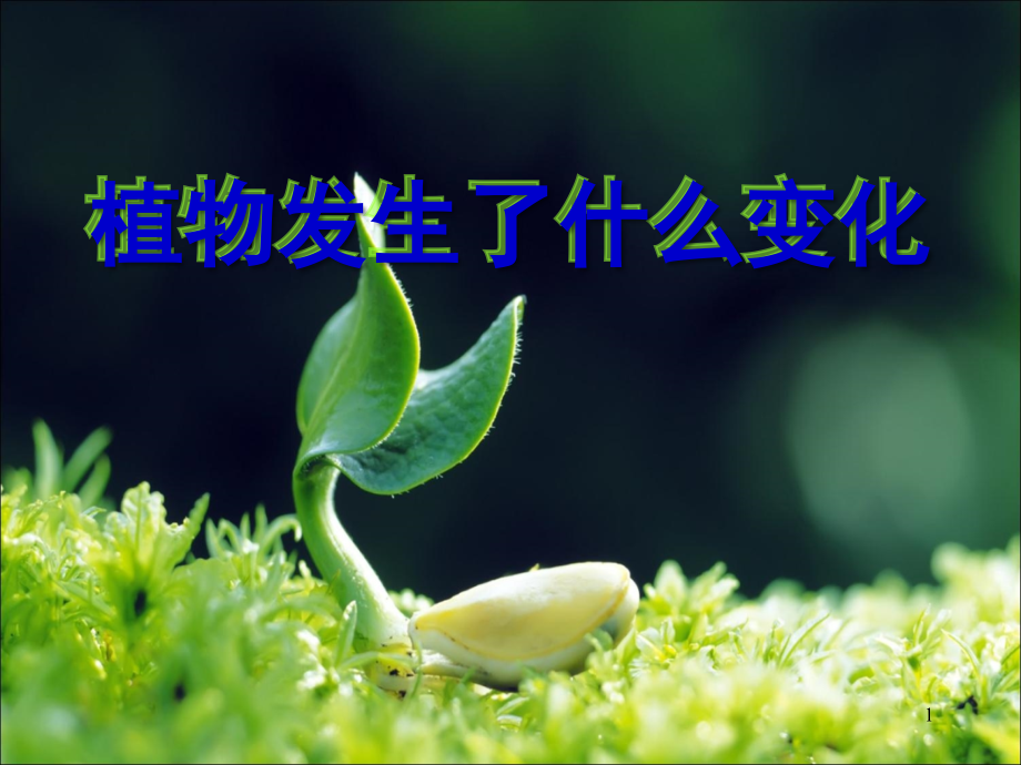 植物的变化.ppt_第1页