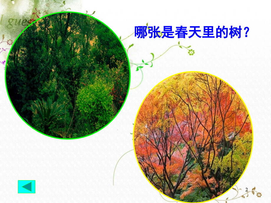 植物的变化.ppt_第2页