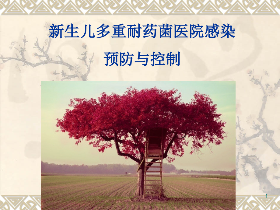 新生儿多重耐药菌感染.ppt_第1页