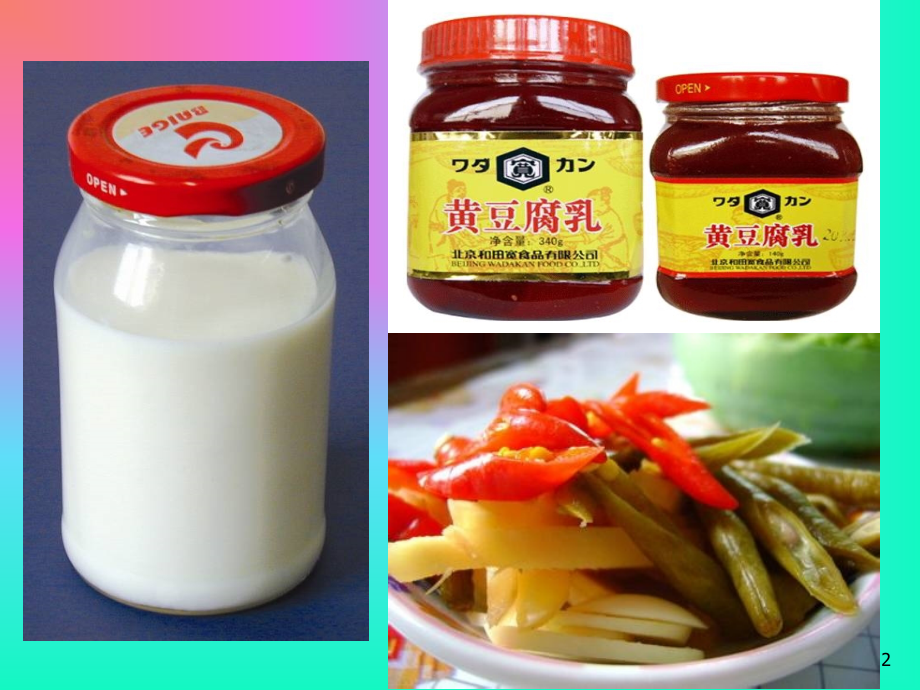 发酵食品的制作.ppt_第2页