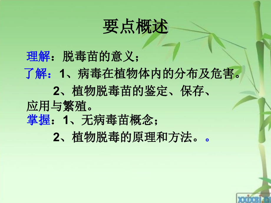 植物离体无性繁殖和脱病毒技术.ppt_第2页