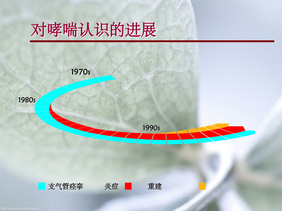 小儿哮喘的防治.ppt_第2页