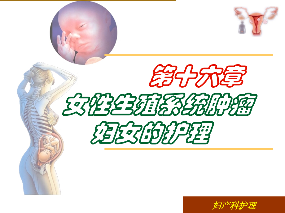 女性生殖系统肿瘤的护理.ppt_第1页