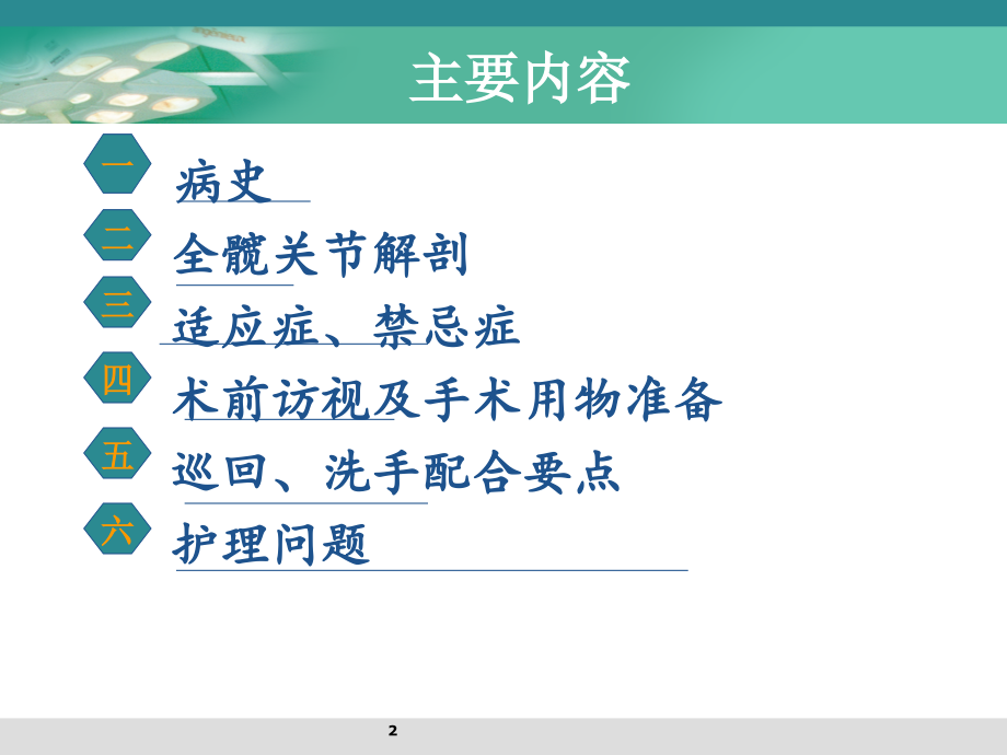 全髋置换护理查房.ppt_第2页