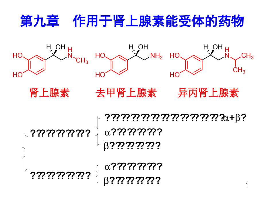 作用于肾上腺素能受体的药物.ppt_第1页