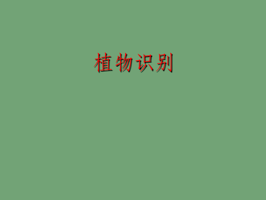 实践课程——植物识别.ppt_第1页