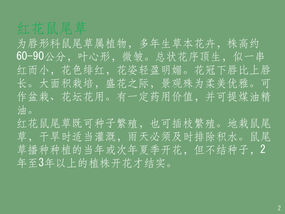 实践课程——植物识别.ppt_第2页