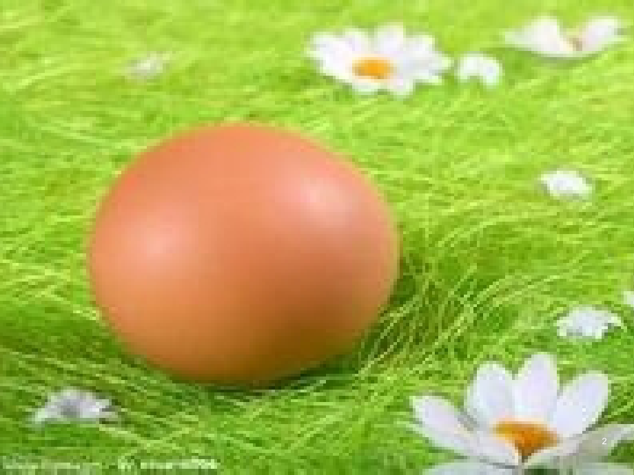 拱形的力量.ppt_第2页