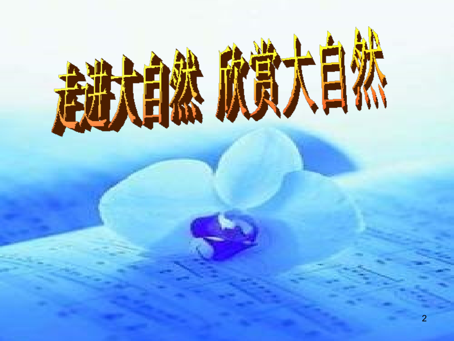 大自然的文字.ppt_第2页