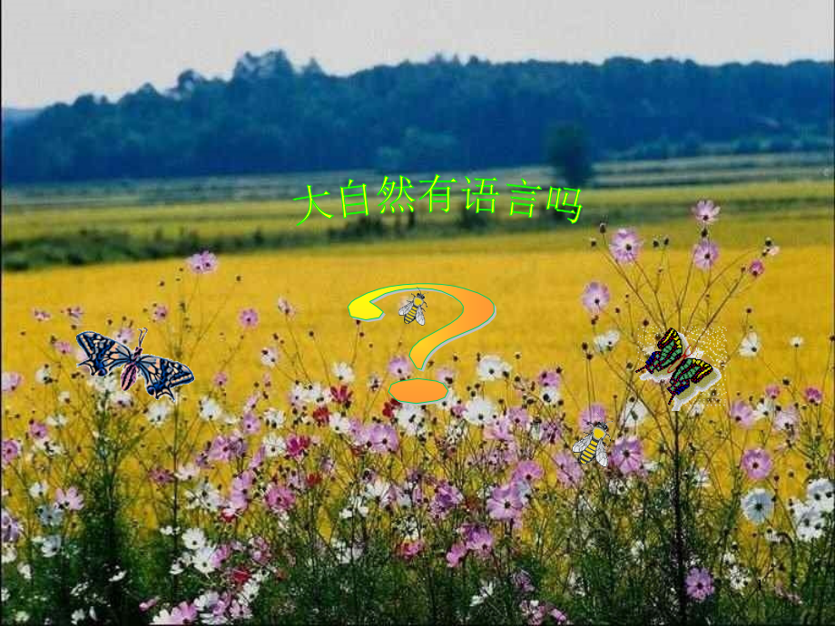 大自然的语言幻灯片.ppt_第1页