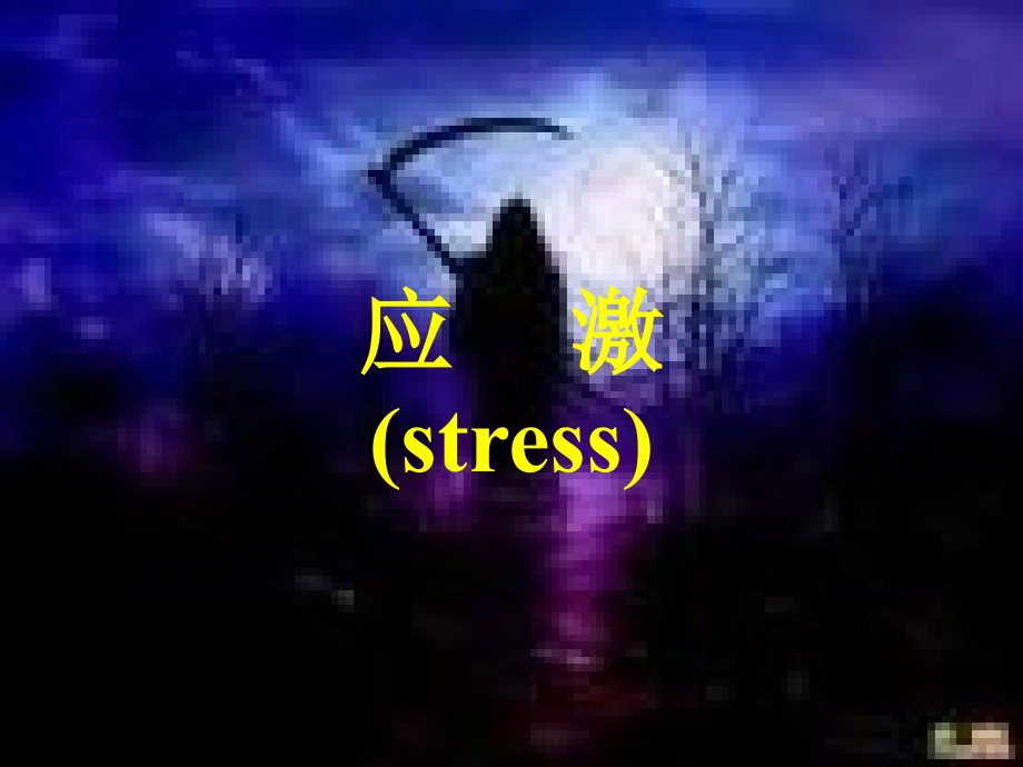 应激PPT医学课件.ppt_第1页